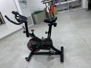 Luxury Stationery Bike