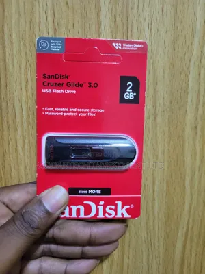 SanDisk Flash Drive 2gb