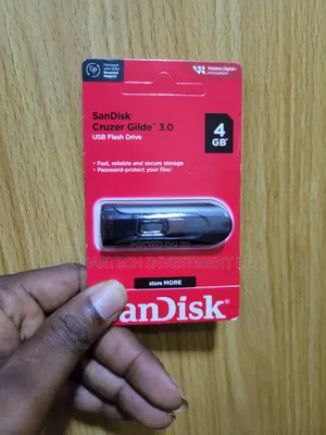 SanDisk Flash Drive 4gb