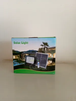 The 100w Floodlight 30w 6v
