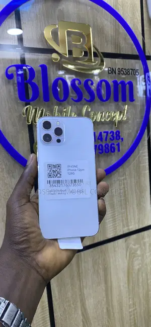 Apple iPhone 12 Pro Max 128 GB Silver