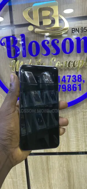 Apple iPhone XS Max 64 GB Silver