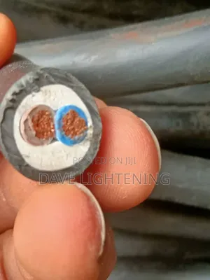 10mm 2core Flexible High Quality Heat Resistant Cable