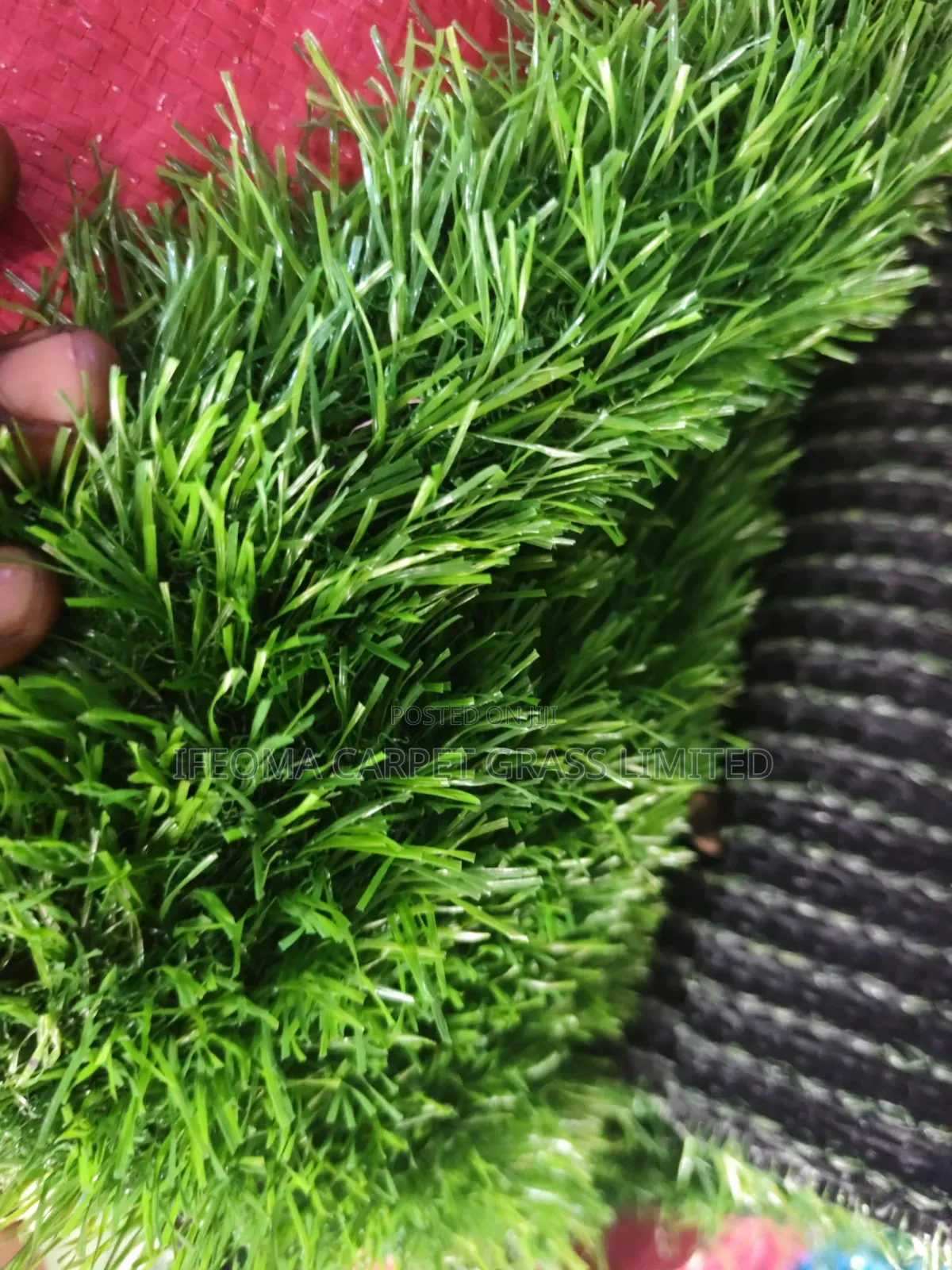 Artificial Grass 25mm.