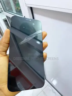 iPhone 12 Pro Max Soft OLED Screen