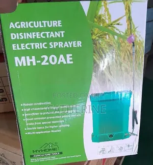 MyHome 20L Electric Sprayer - Double Lance