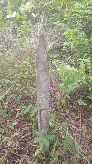 Land Survey in Ibadan Metropolis | Fast Reliable