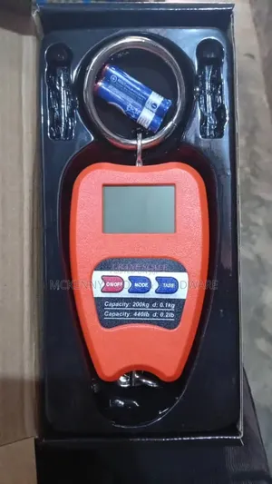 Electronic 200kg Digital Mini Crane Scale