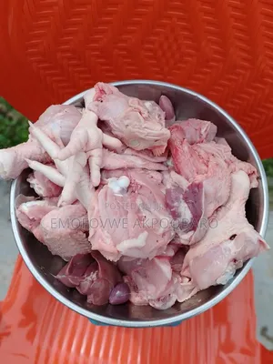 Live and Frozen Broilers