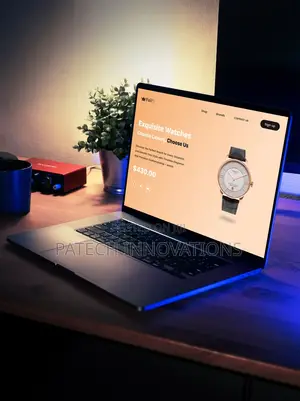 Professional Web Design and Development
