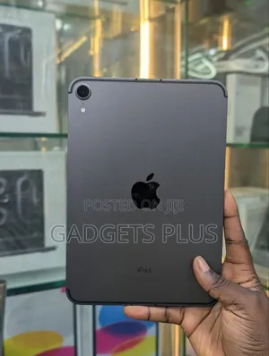 Apple iPad mini 6 256 GB Gray