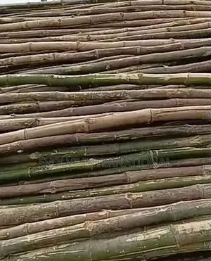 Go Bamboo for Decking