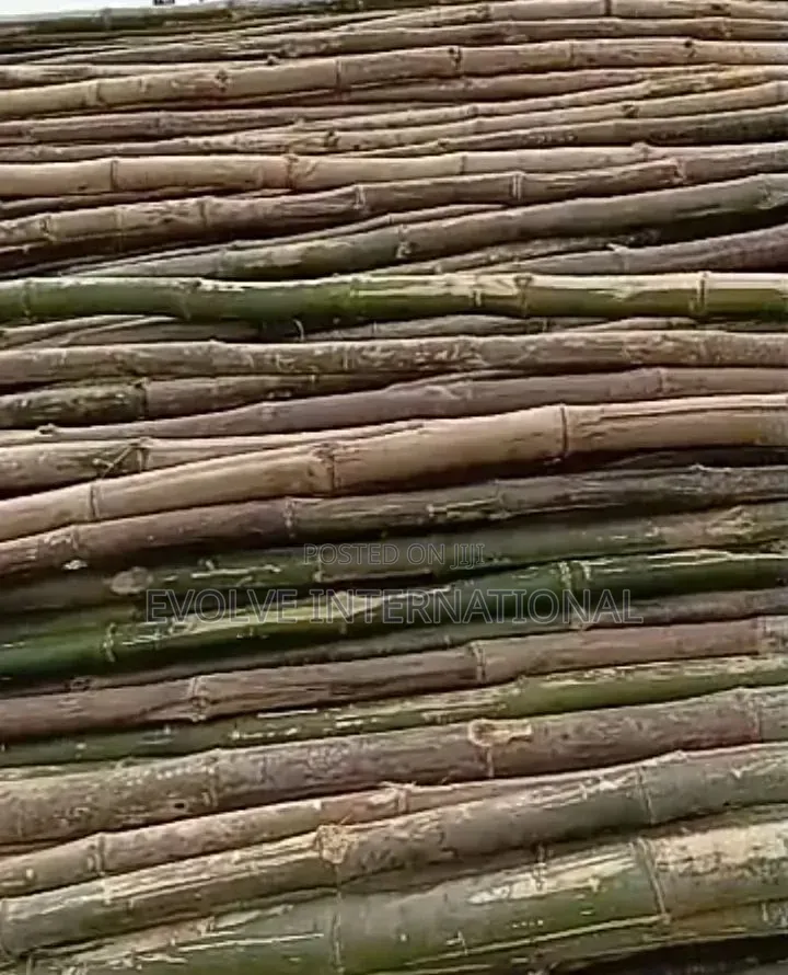 Go Bamboo for Decking