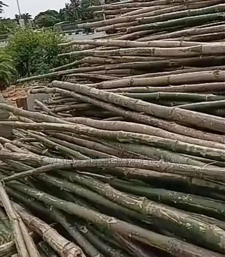 Go Bamboo for Decking