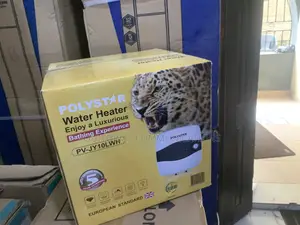 Polystar PV-JY10LWH Review: Energy-Efficient Hot Water for Every Home