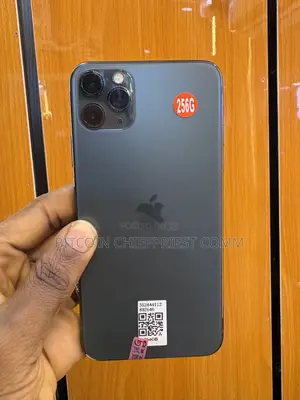 Apple iPhone 11 Pro Max 256 GB Gray