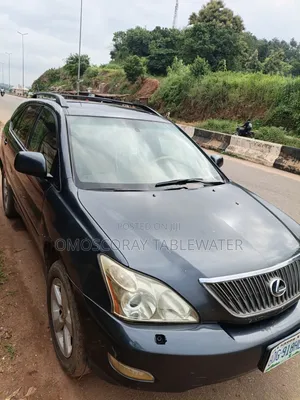 Lexus RX 2006 Gray