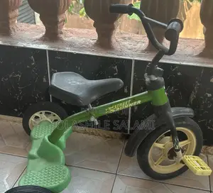 Neatly Used Bicycle