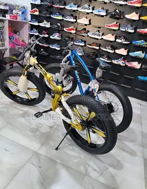 Big Tyre Bicycle