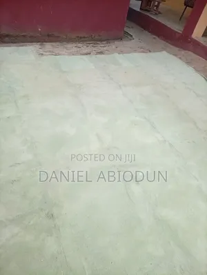 Rug Carpet