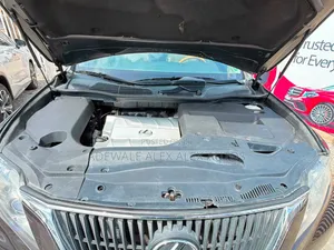 Lexus RX 2010 Gray