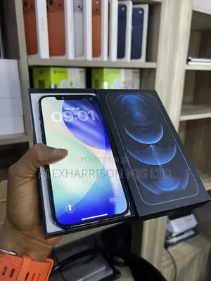 Apple iPhone 12 Pro Max 256 GB Blue