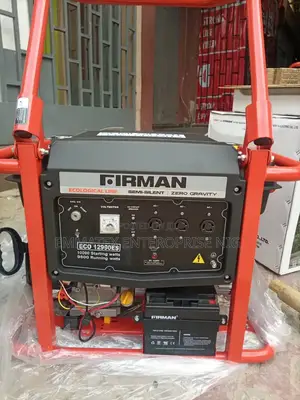 Original Firman Eco12990es Petrol Generator Copper Coil
