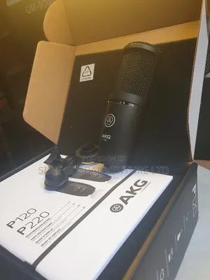 AKG P120 Condenser Microphone