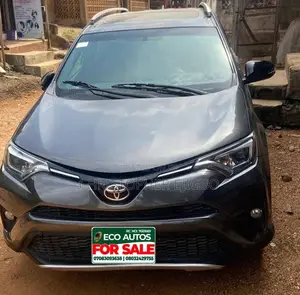 Toyota RAV4 XLE 4dr SUV (2.5L 4cyl 6A) 2018 Gray