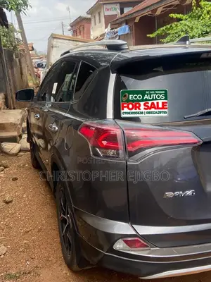 Toyota RAV4 XLE 4dr SUV (2.5L 4cyl 6A) 2018 Gray