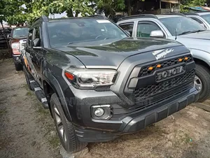 Toyota Tacoma 2019 Gray