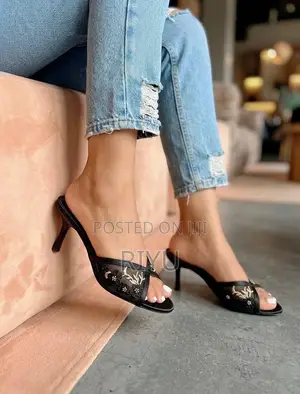 Zara Embroidered Mesh Mule Heels
