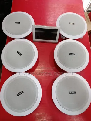 Tundra Smart Ceiling Audio System