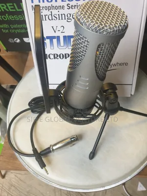 Quality Bird Singer v-2 Condenser Studio Microphone