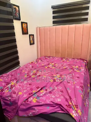 Bed Frame and Sofa