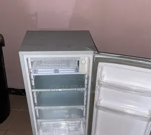 Fridge and Freezer (Snow Sea)