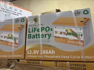Lithium Batteries 12v