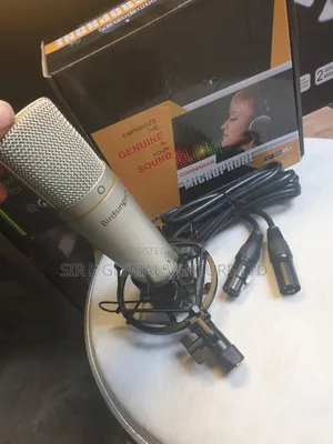 Birdsinger C-1 Professional Condenser Mic