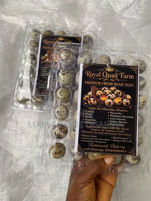 Premium Quail Eggs