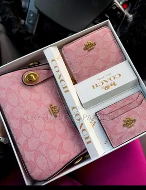 Coach Bag Set