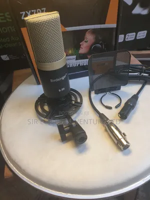 Professional Birdsinger B-99 Condenser Mic