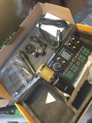 Professional BM 800 V90 Sound Card