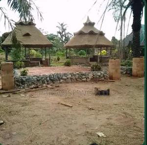 Bush Bar, Summer Hut