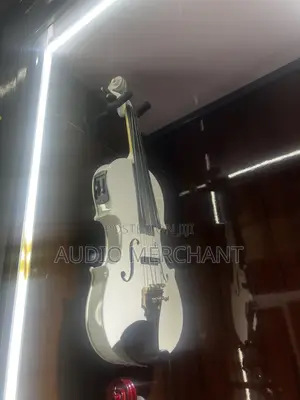 Electric Acoustic Violin