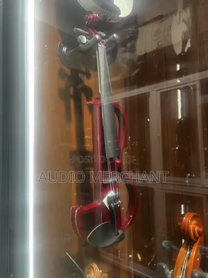 Electric Violin