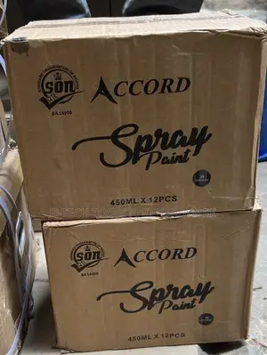 Accord Spray Paint