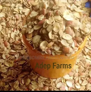 Premium Ogbono Seeds From Adep Farms – Fresh Original