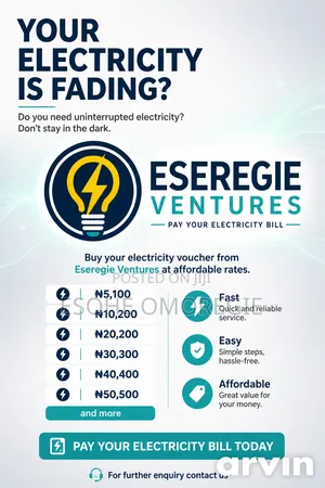 Electricity Supply