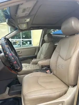 Lexus RX 2003 Silver