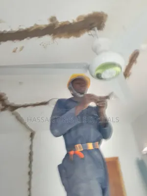 Professional Electrician
